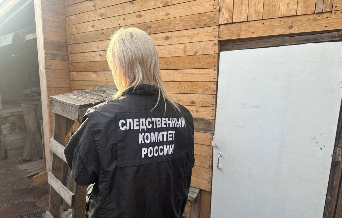 В Канске завели дело после убийства детей: подозревается мать