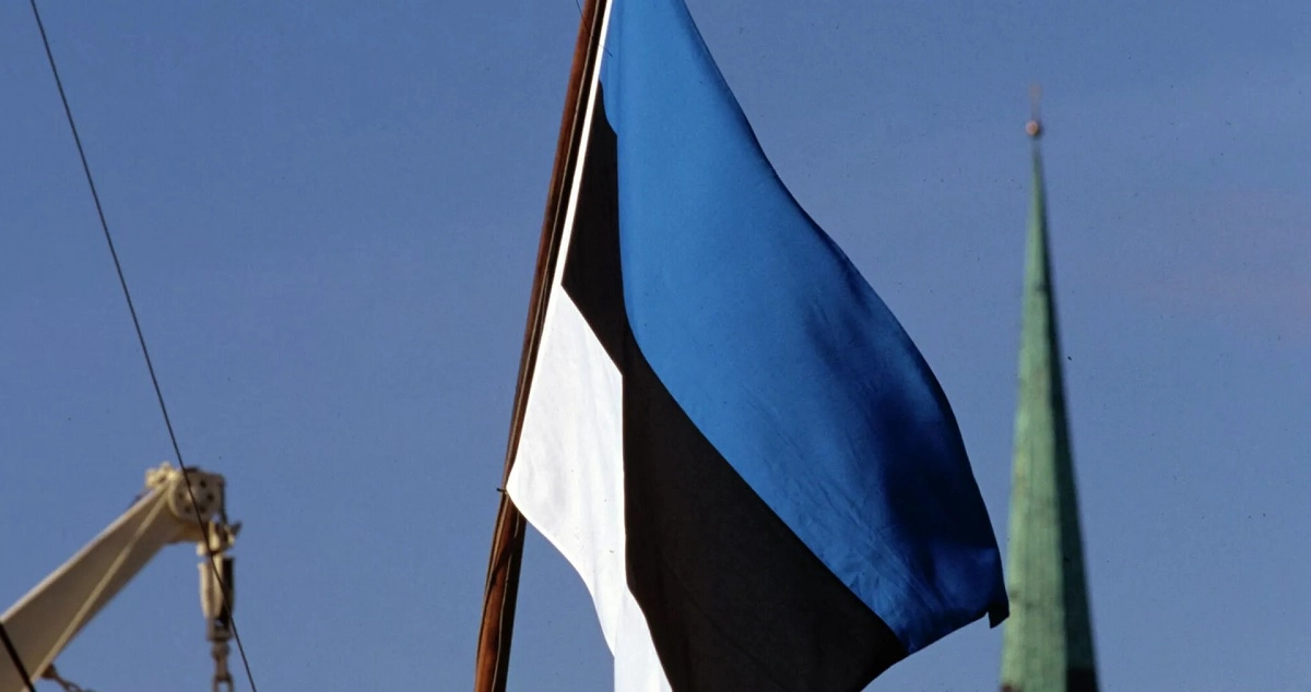 Эстония готова отправить на Украину солдат