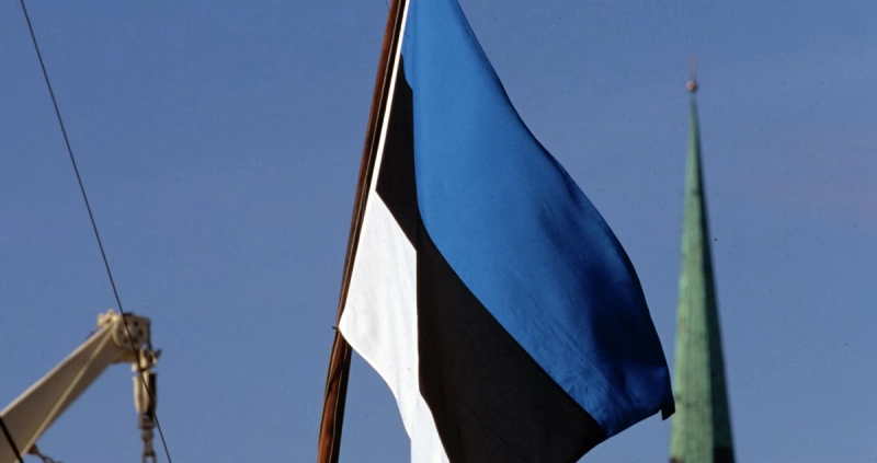 Эстония готова отправить на Украину солдат
