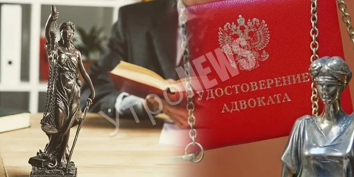 День российской адвокатуры: когда отмечают, история и значение праздника