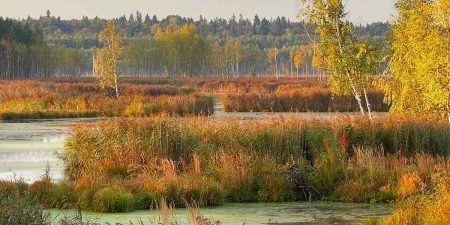 В парке Москвы нашли тело женщины с ножевыми ранениями