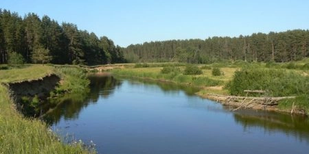 В реке под Тверью обнаружили тело пропавшей девочки