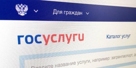 Муниципальный фильтр хотят проходить через Госуслуги