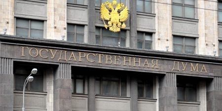 В ГД высказали мнение об идее ввести налог на бездетность