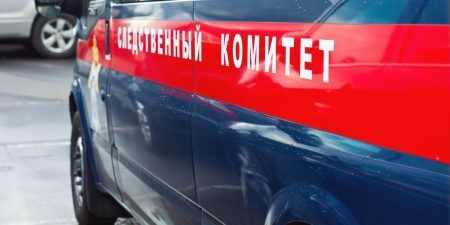 Возбуждено дело после массового отравления учеников в Подмосковье