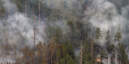 В МЧС рассказали о ситуации с пожарами в Якутии