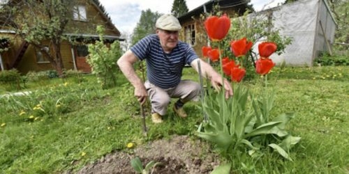 Госдума отказалась от "дачной амнистии"