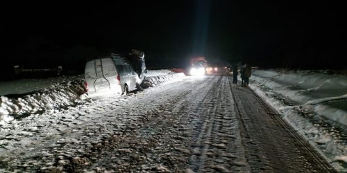 В ДТП с автобусами и лошадью в Иркутской области пострадали пять человек