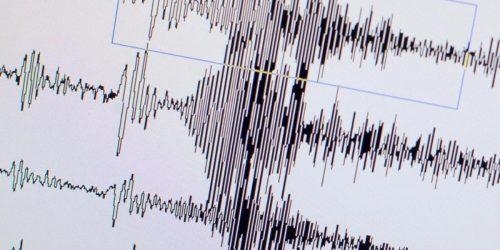 В МЧС рассказали о землетрясении в Сочи