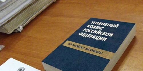 Фигурантке дела о теракте в Санкт-Петербурге предъявили обвинение