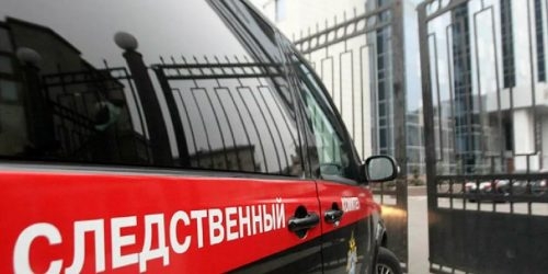 В Воскресенске мужчина подозревается в убийстве матери