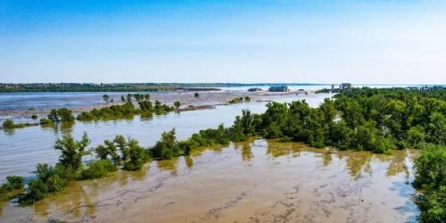 В Херсонской области заявили о росте уровня воды в Голой Пристани