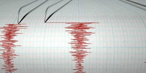 В акватории Тихого океана произошло землетрясение