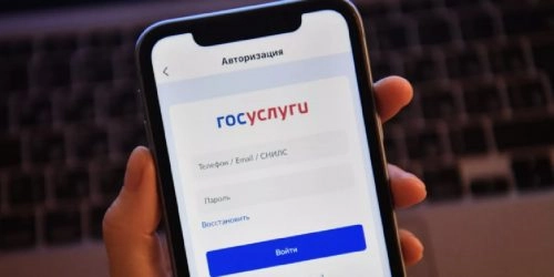 Партийцы смогут посмотреть выборы на "Госуслугах"