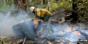 Причиной пожаров в Сибири могло стать неосторожное обращение с огнём