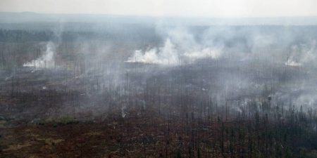 Площадь пожаров в Иркутской области растёт несмотря на тушение очагов