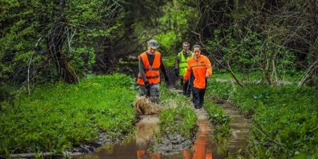 В лесу Омской области потерялся маленький мальчик. На поиски бросили все силы