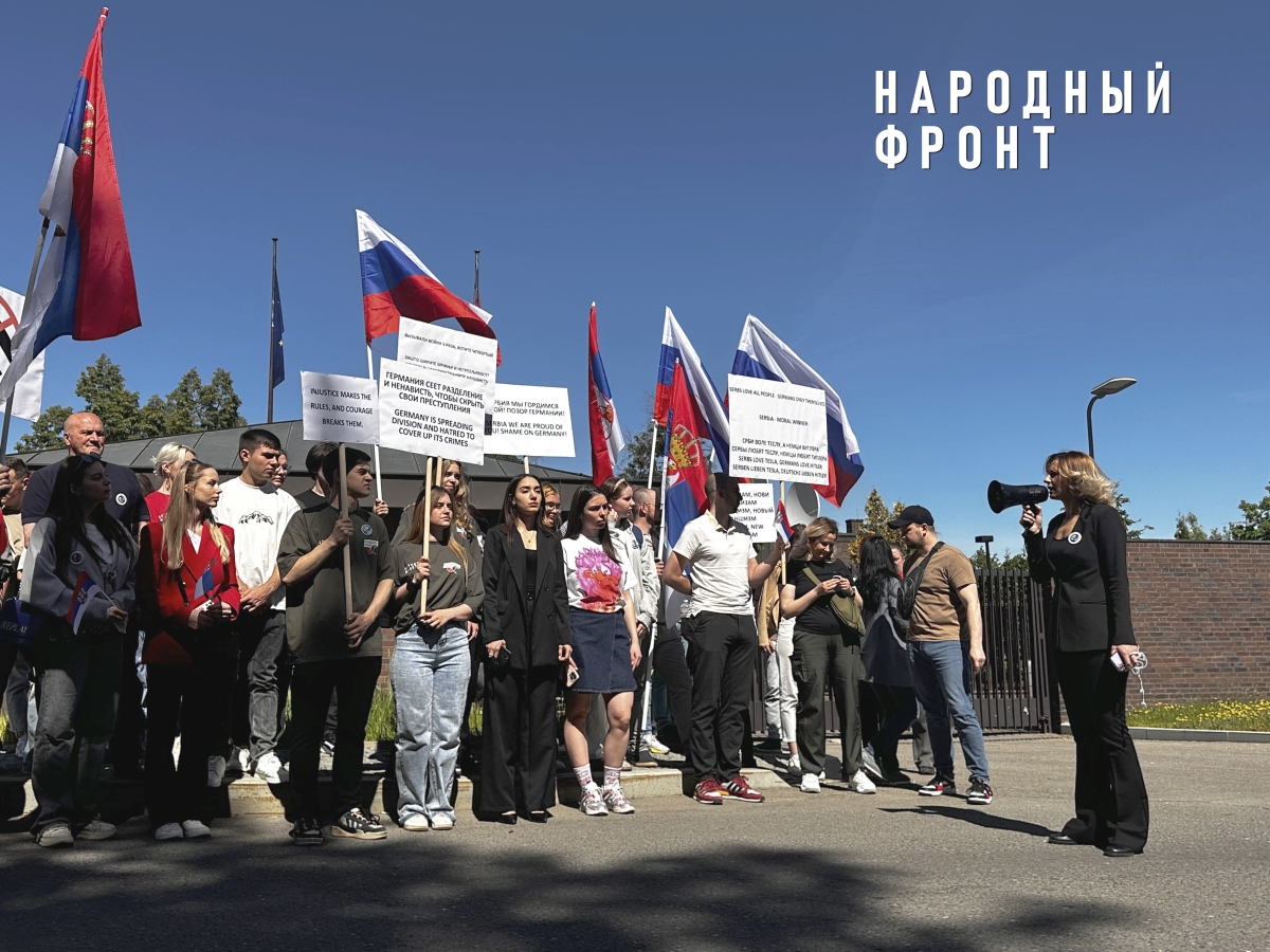 Народный фронт принял участие в митинге Союза сербов им. Николы Теслы против резолюции ООН по инциденту в Сребренице