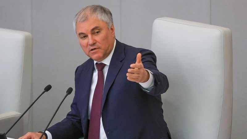 Володин оценил законы по борьбе с нелегальной миграцией