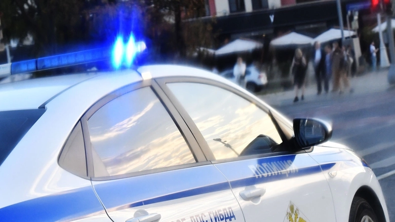 В Красноярском крае при работах на свинокомплексе погибли люди