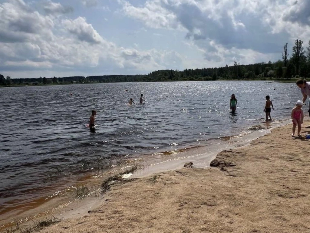 Частные инвесторы обустроят "дикие" пляжи Подмосковья