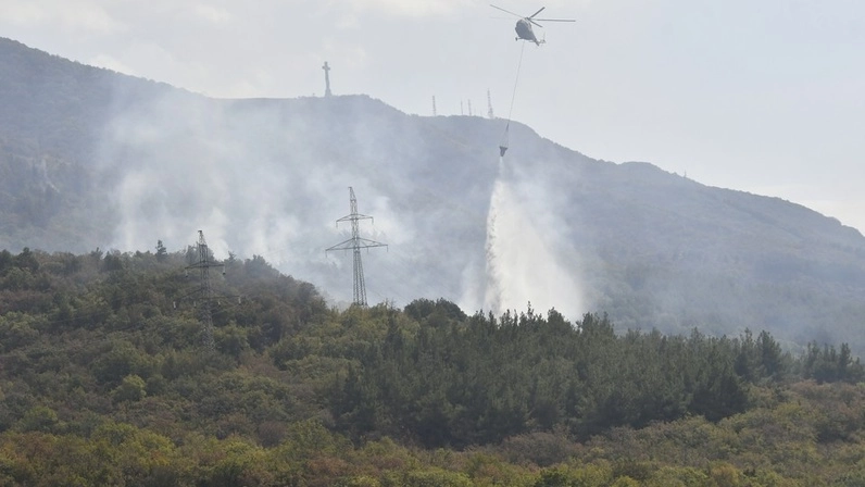 Туристов эвакуировали катером из зоны лесного пожара в Геленджике