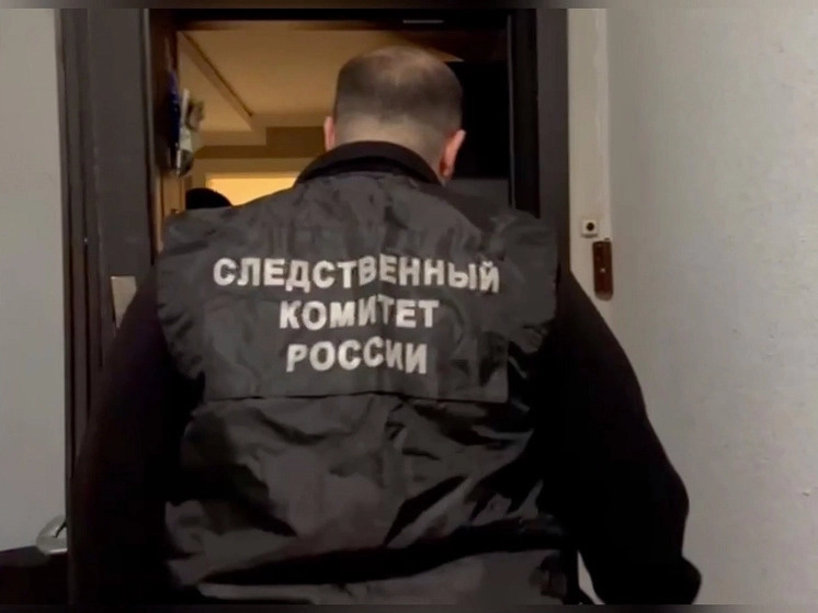 В Ленобласти задержали группу за мошенничество с выплатами контрактникам