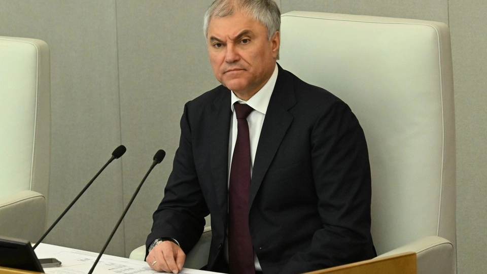 Володин поддержал расширение полномочий регионов по ограничению трудоустройства мигрантов