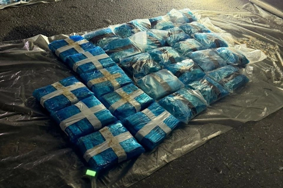 Наркотики в яблоках: в Подмосковье пресекли контрабанду под видом фруктов