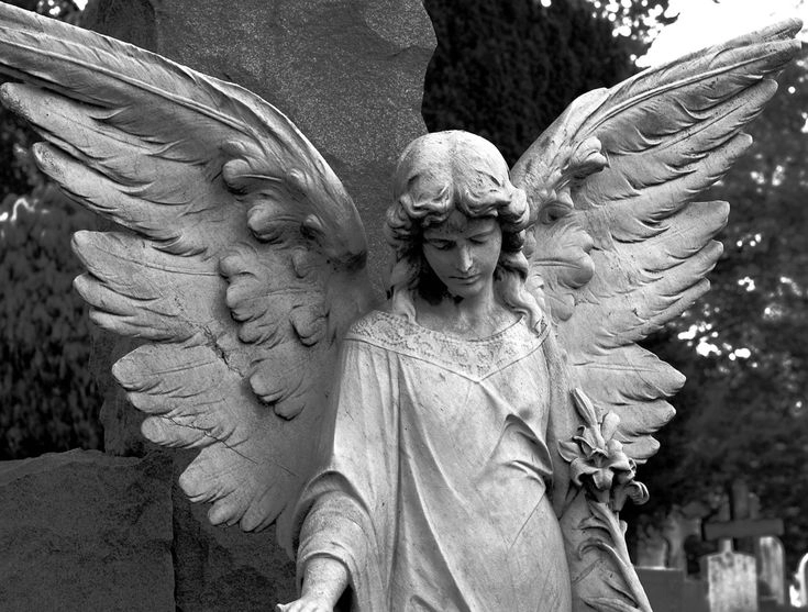 В школе на Камчатке скончалась 15-летняя ученица