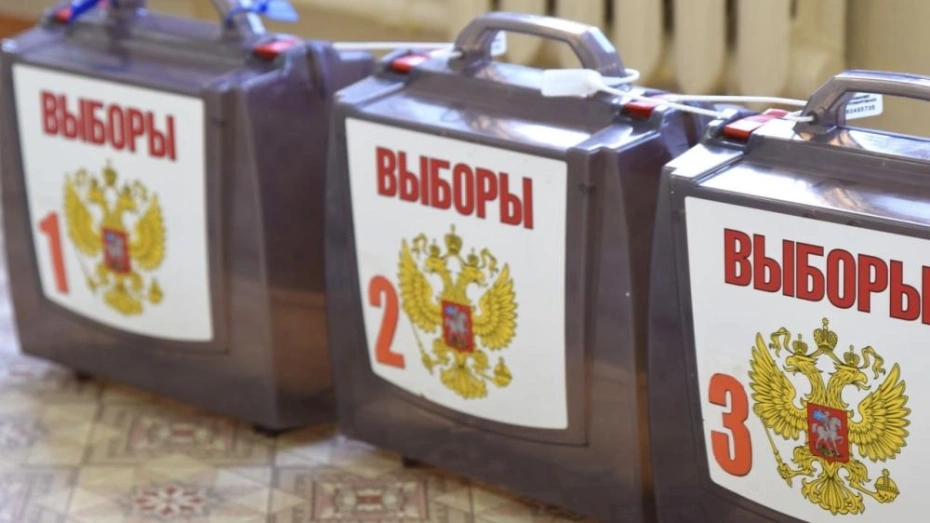 Явка на муниципальных выборах во Владимирской области составила 20,95%