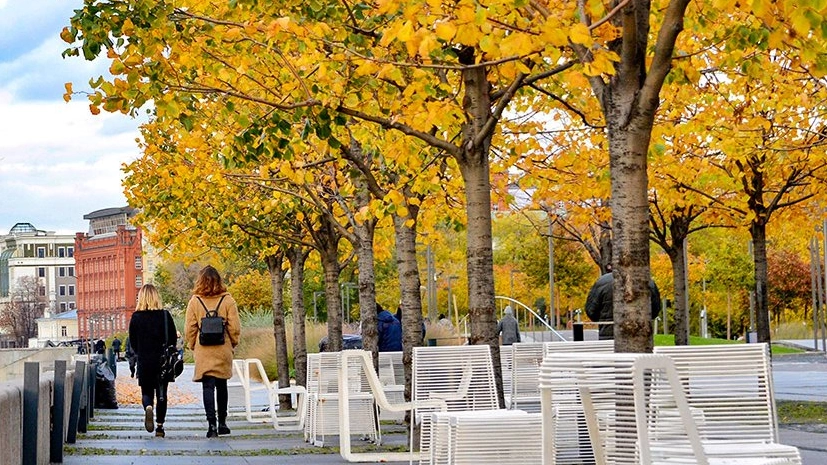 Облачная погода и до 11 градусов тепла ожидаются в Москве в понедельник