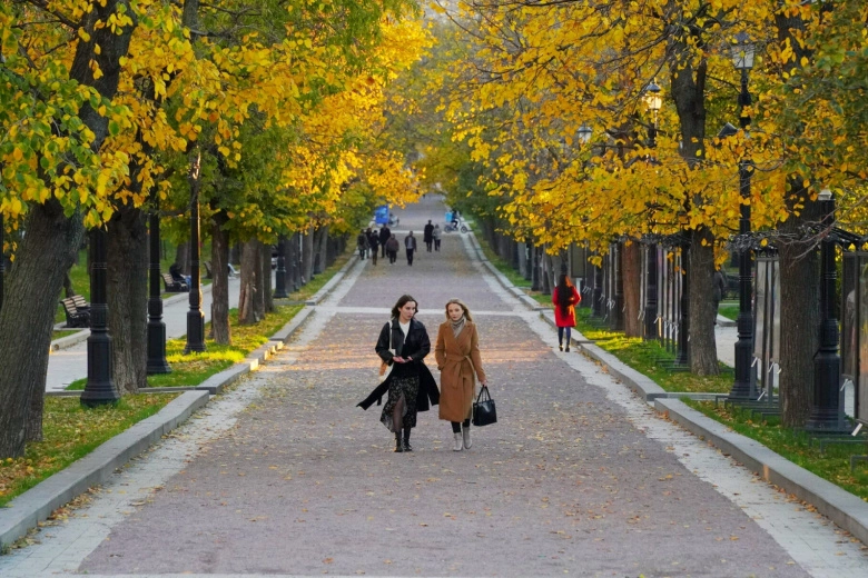 Погода в Москве во вторник: до 12 градусов тепла