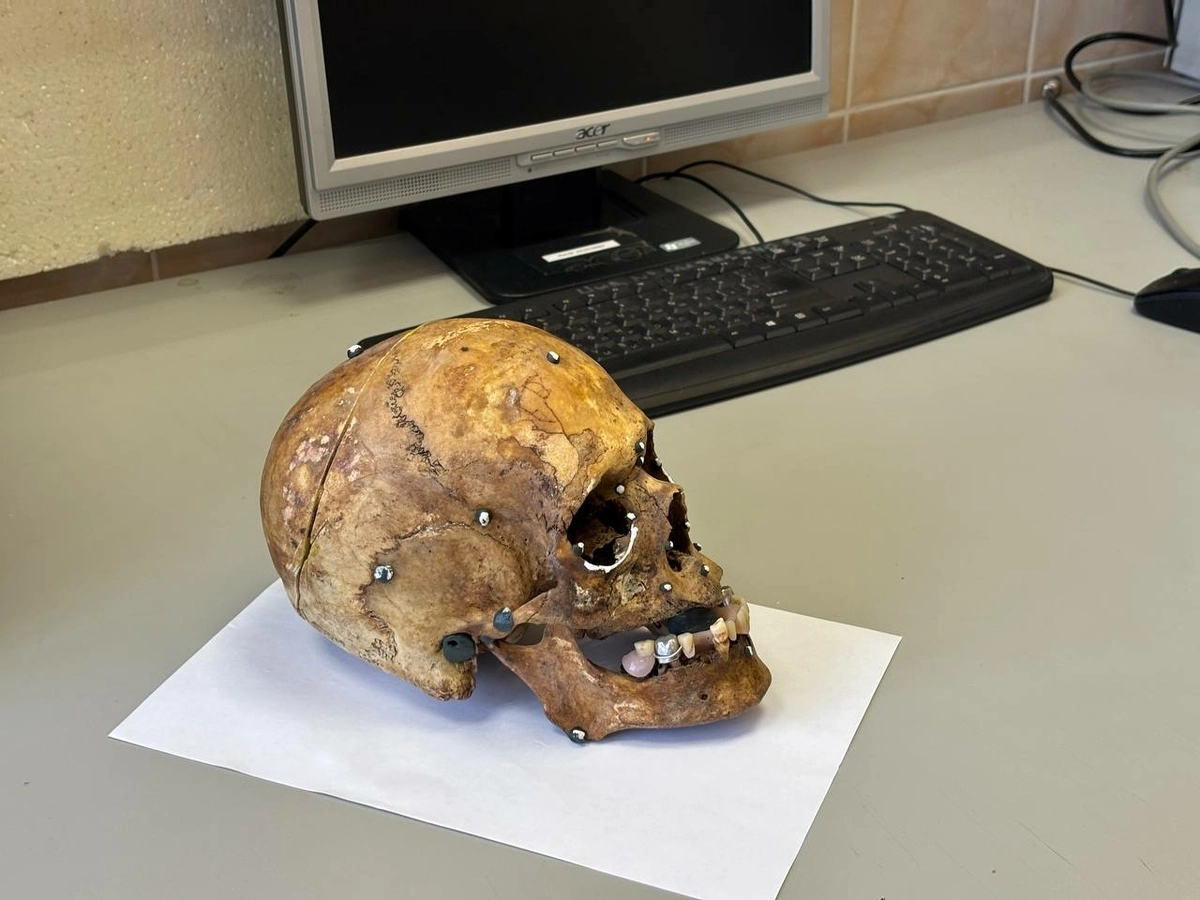 Скелет пенсионерки обнаружили у детского сада на проспекте Народного Ополчения в Петербурге