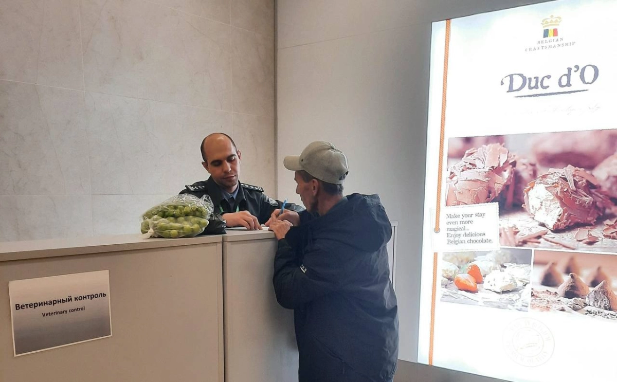 В аэропорту Красноярска за октябрь изъяли почти 400 кг запрещённых продуктов