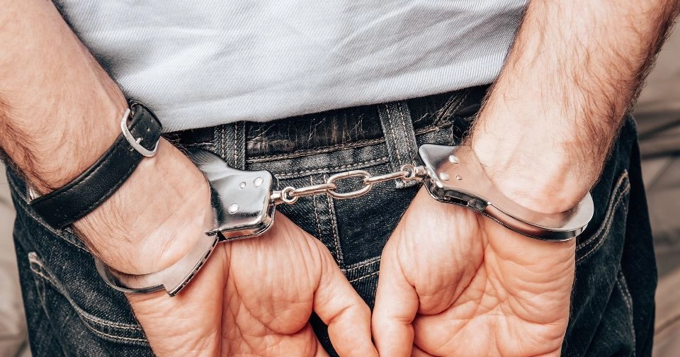 В Подмосковье задержан подозреваемый в похищении и убое собак для сдачи мяса в рестораны