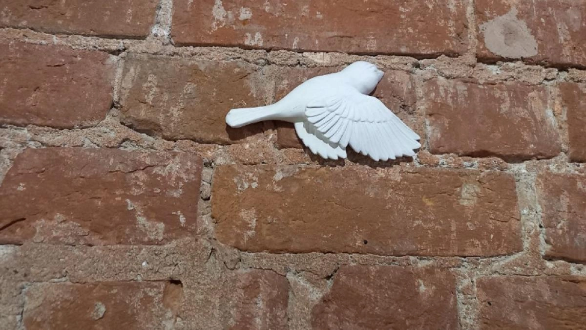 Десятки поклонниц подкаста о домашних родах потеряли младенцев