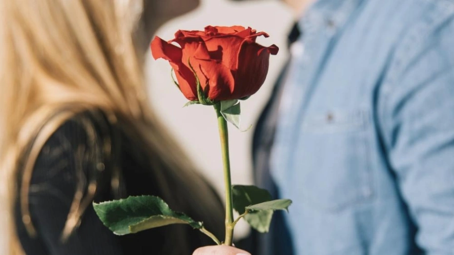 Альфонс из Владимирской области обманул четырёх женщин на 1,6 млн рублей