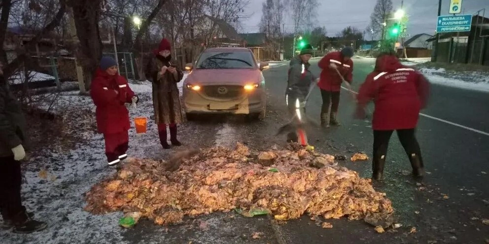 На дороге в Асбесте рассыпались 150 кг куриных туш