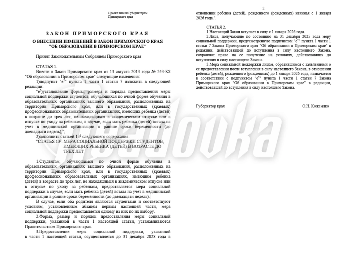 В Приморье введут выплаты для студентов-родителей