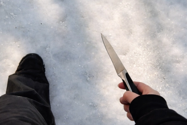 Шестиклассница пришла с ножом в воронежскую школу и вела трансляцию