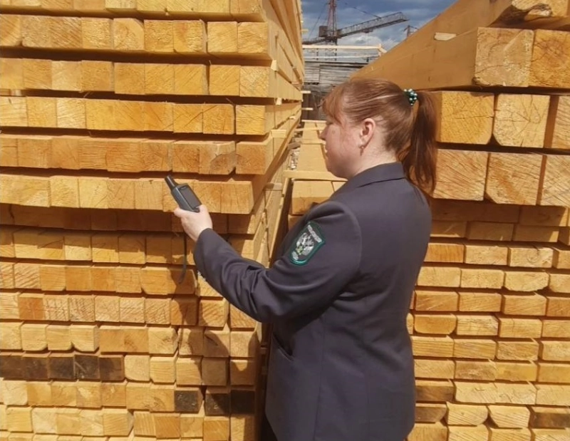 Из Красноярского края в 2025 году вывезли более 6,7 млн кубометров лесопродукции