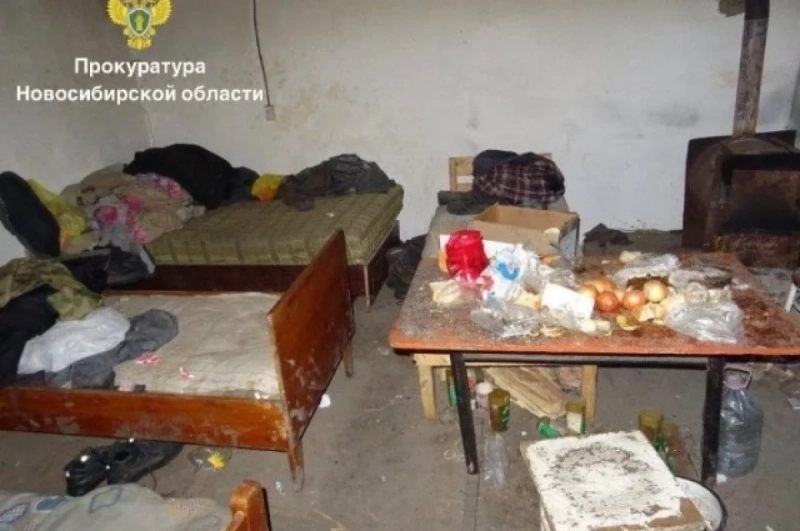 Отец и сын из Новосибирской области получили по 5 лет колонии за рабский труд