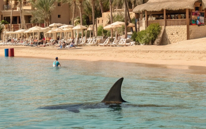 Несколько пляжей в Египте закрыли из-за угрозы нападения акулы