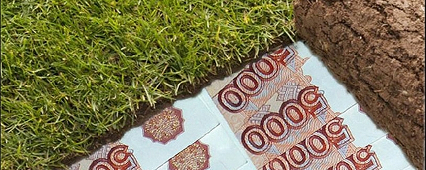 СК расследует мошенничество с землёй в Дмитровском районе: пострадали более 100 человек