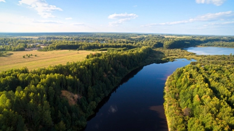 Нижегородская область